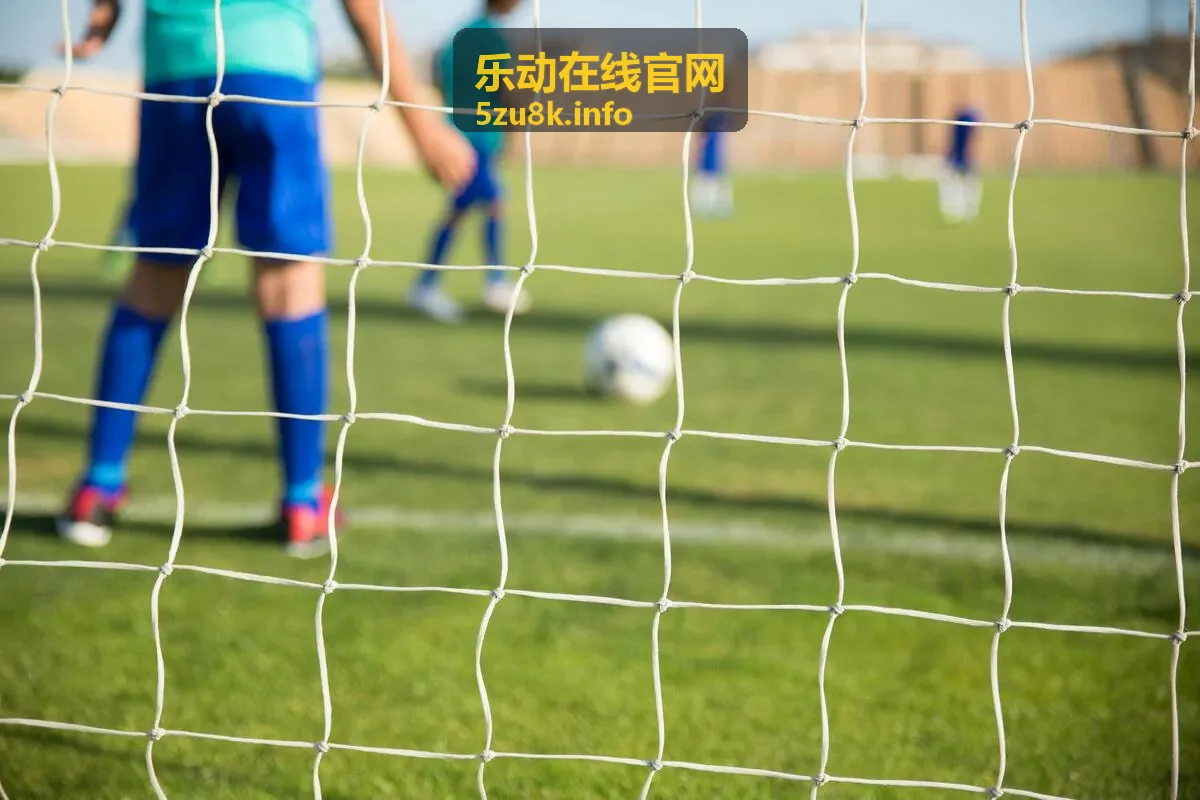 乐动在线官网综艺现场精华回放封面